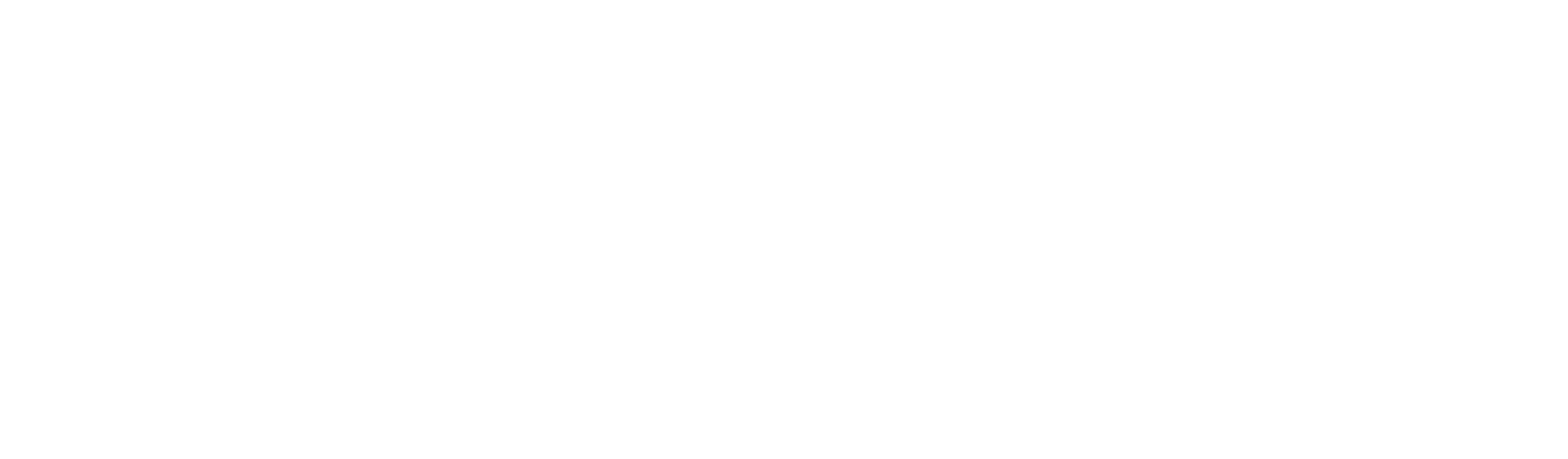 Almoosa Security Systems