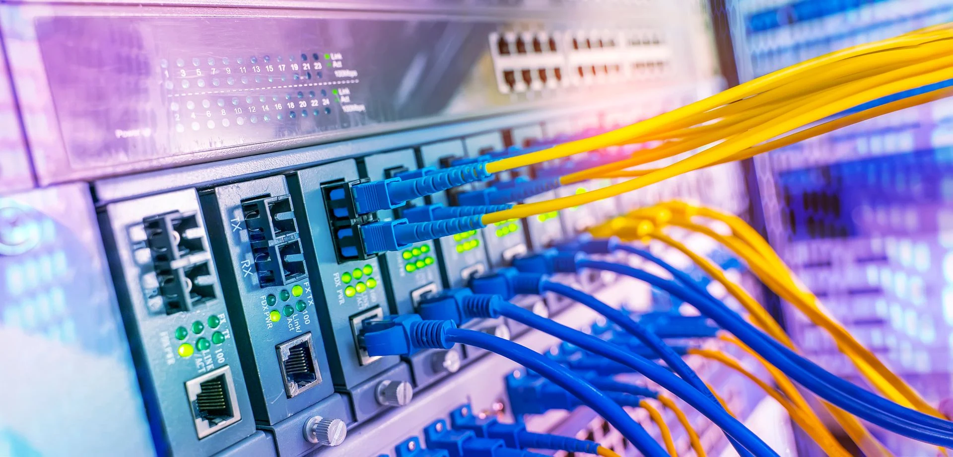 Network / Infrastructure